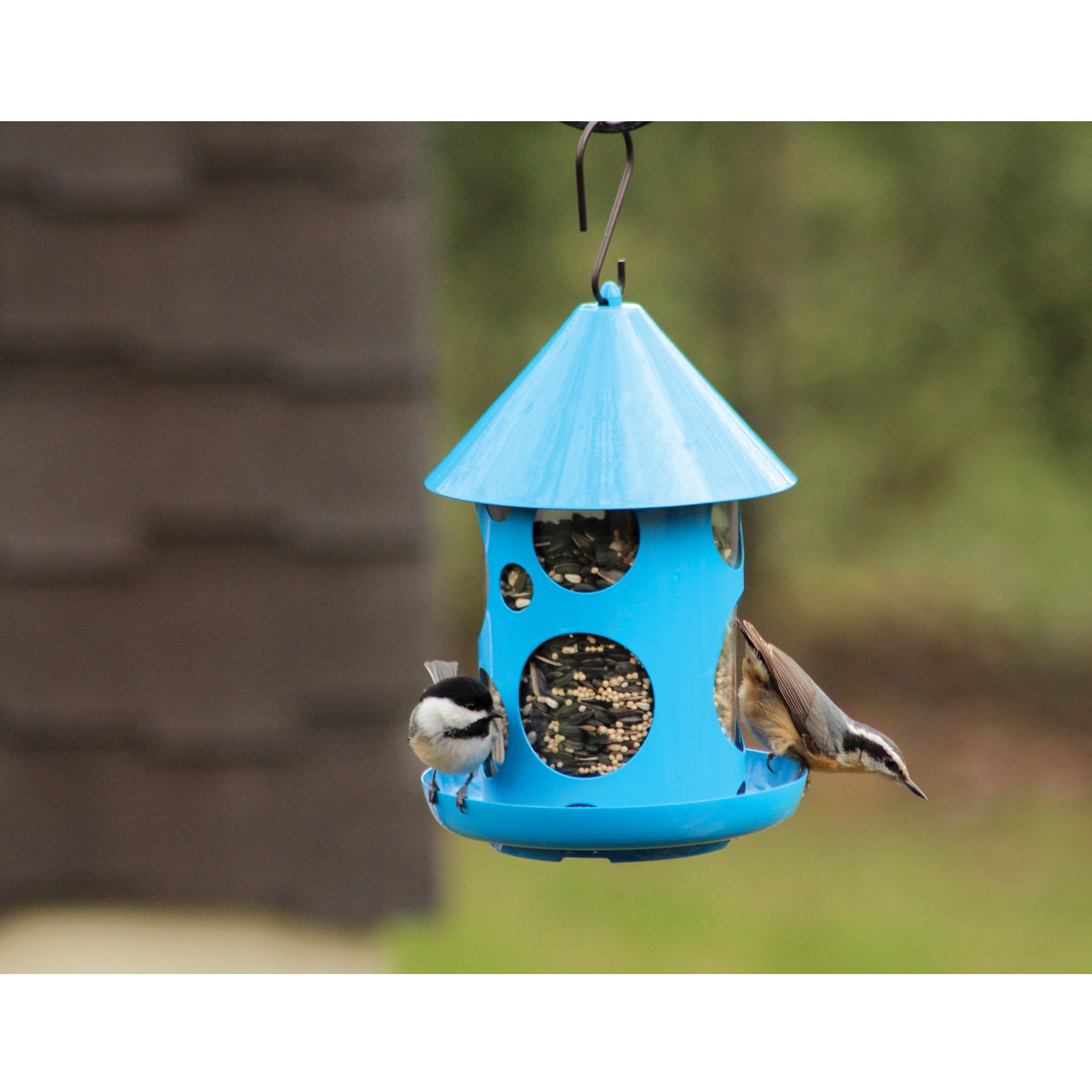 Pinebrush Polka Dot Seed Wild Bird Feeder Bird Outdoor Feeders