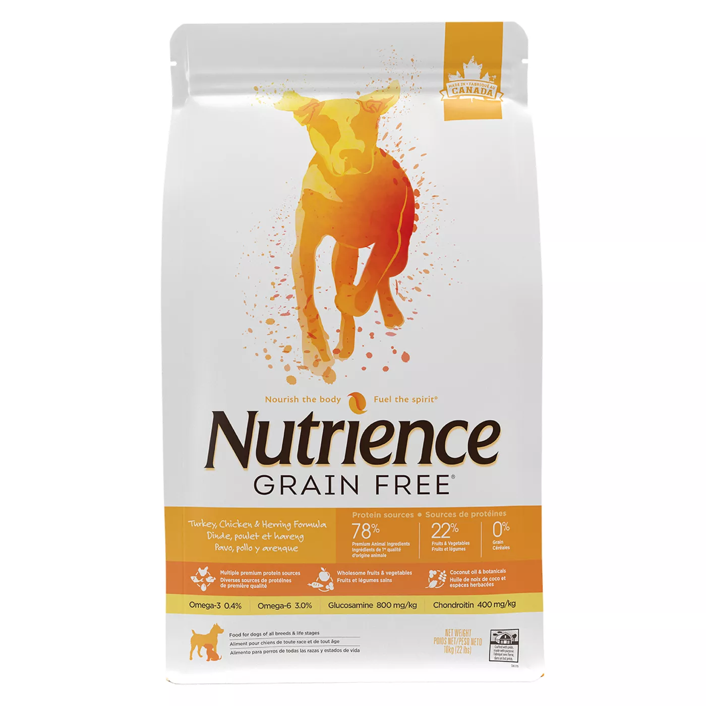 Dog food not grain free best sale