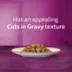 WHISKAS® Perfect Portions® Cuts In Gravy Cat Food - Tuna image thumbnail 5