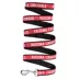 Arizona Cardinals NFL Dog Leash image thumbnail 1