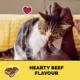 Product Temptations™ Adult Cat Treats - Hearty Beef Flavour