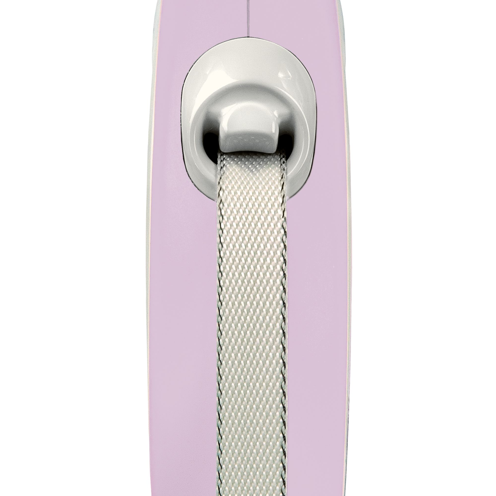 pink retractable dog lead