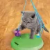 KONG® Sway N' Play Cat Toy image thumbnail 2