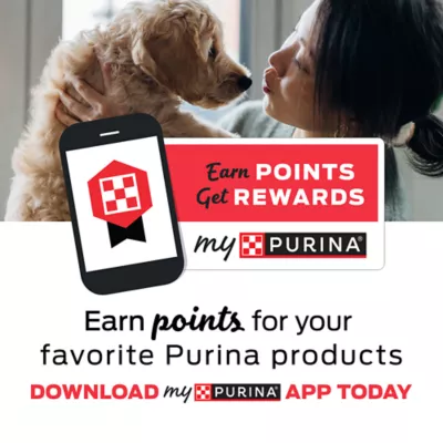 Purina ha veterinary diets best sale