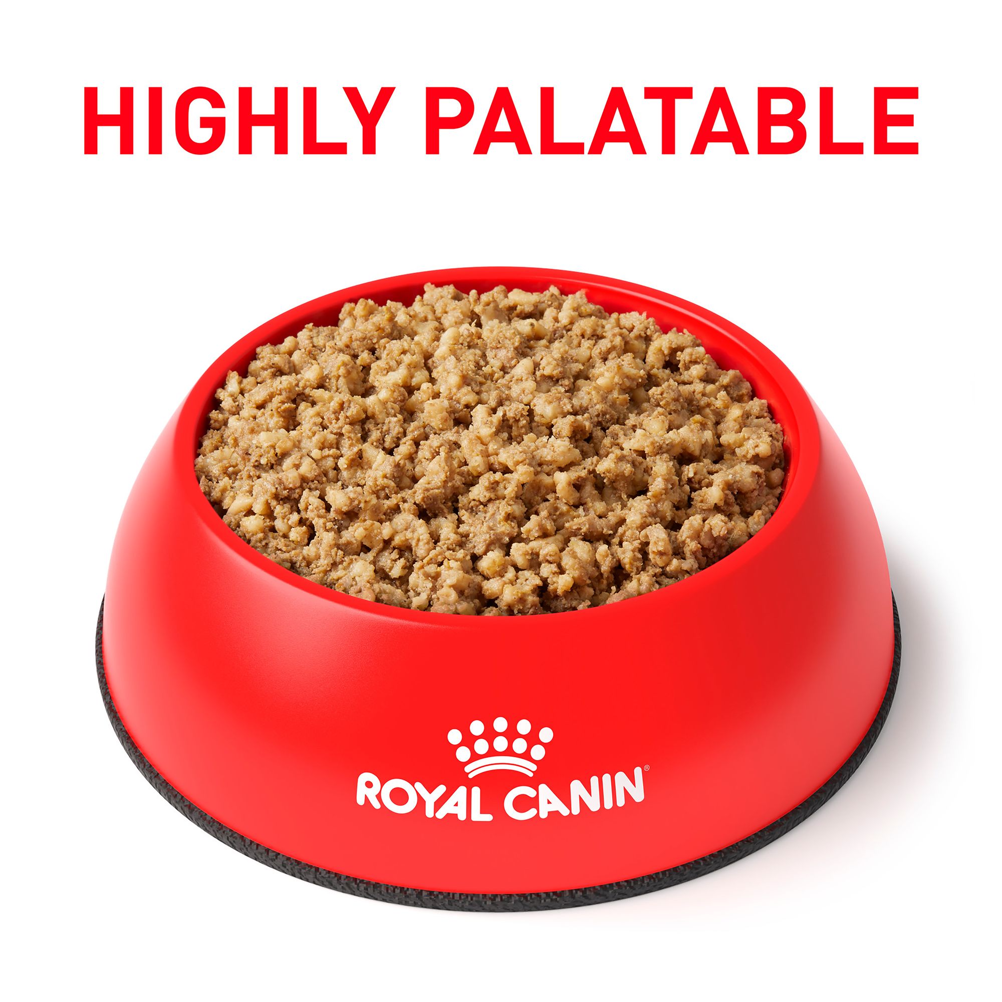 royal canin renal special canine