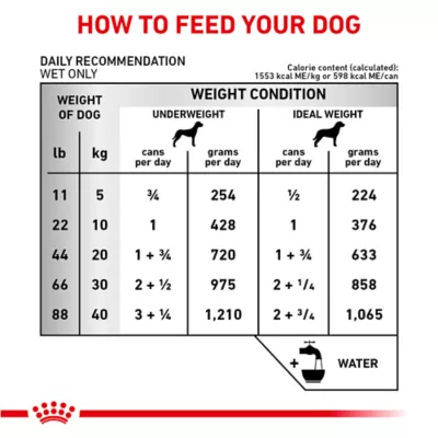 Product Royal Canin® Veterinary Diet Canine Renal Support E Adult Dog Loaf in Sauce Wet Food  13.5 oz can