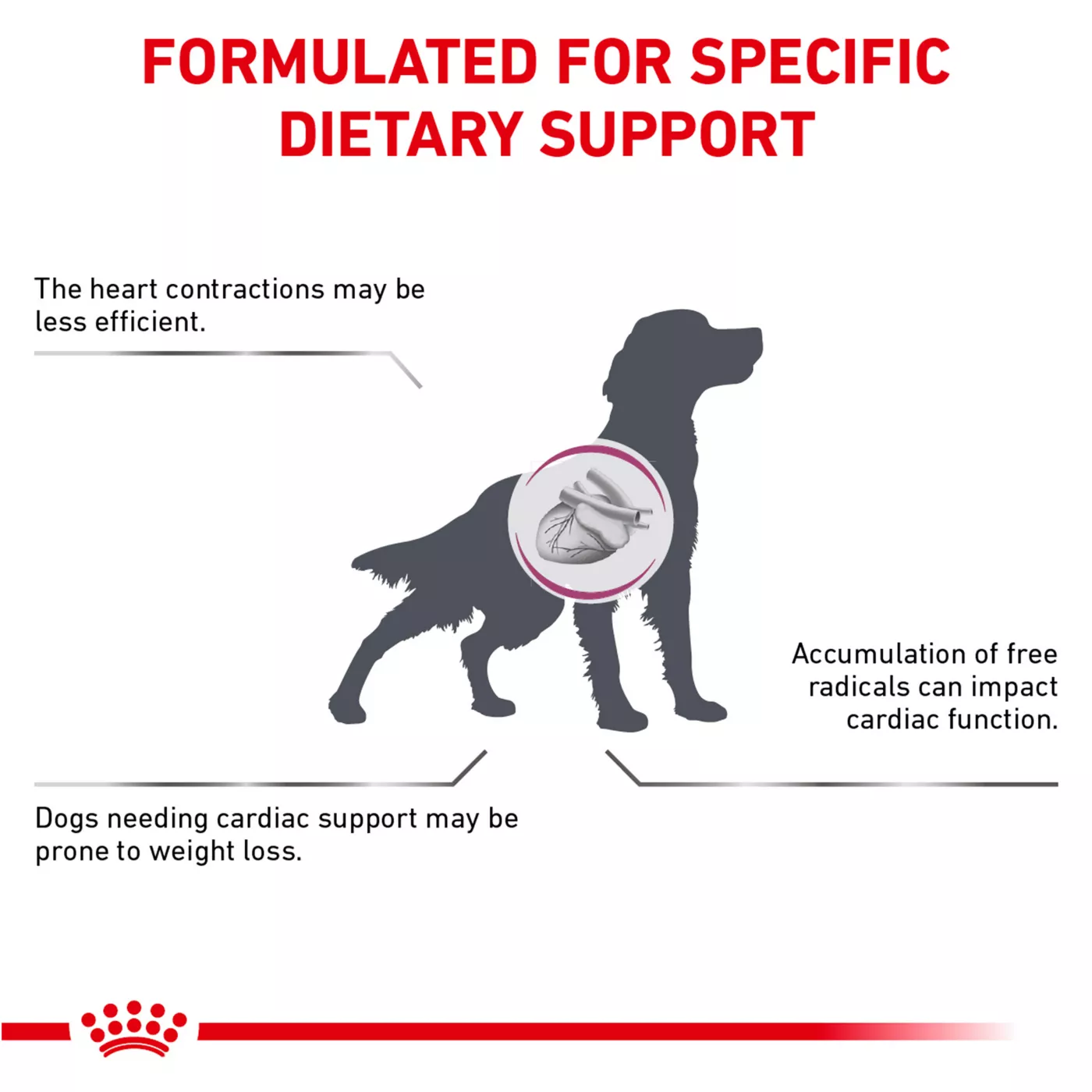 Royal Canin Veterinary Diet Canine Renal Support D Adult Dog Slices in Gravy Wet Food 13 oz can