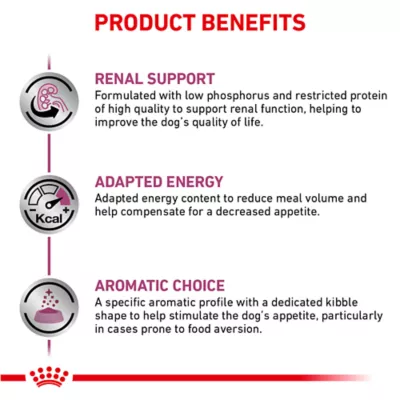 Product Royal Canin® Veterinary Diet Canine Renal Support A Adult Dry Dog Food