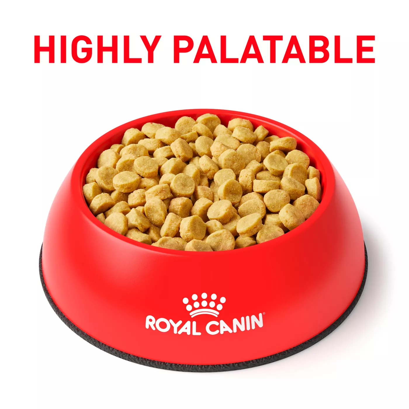 Royal fashion canin multifunction renal support