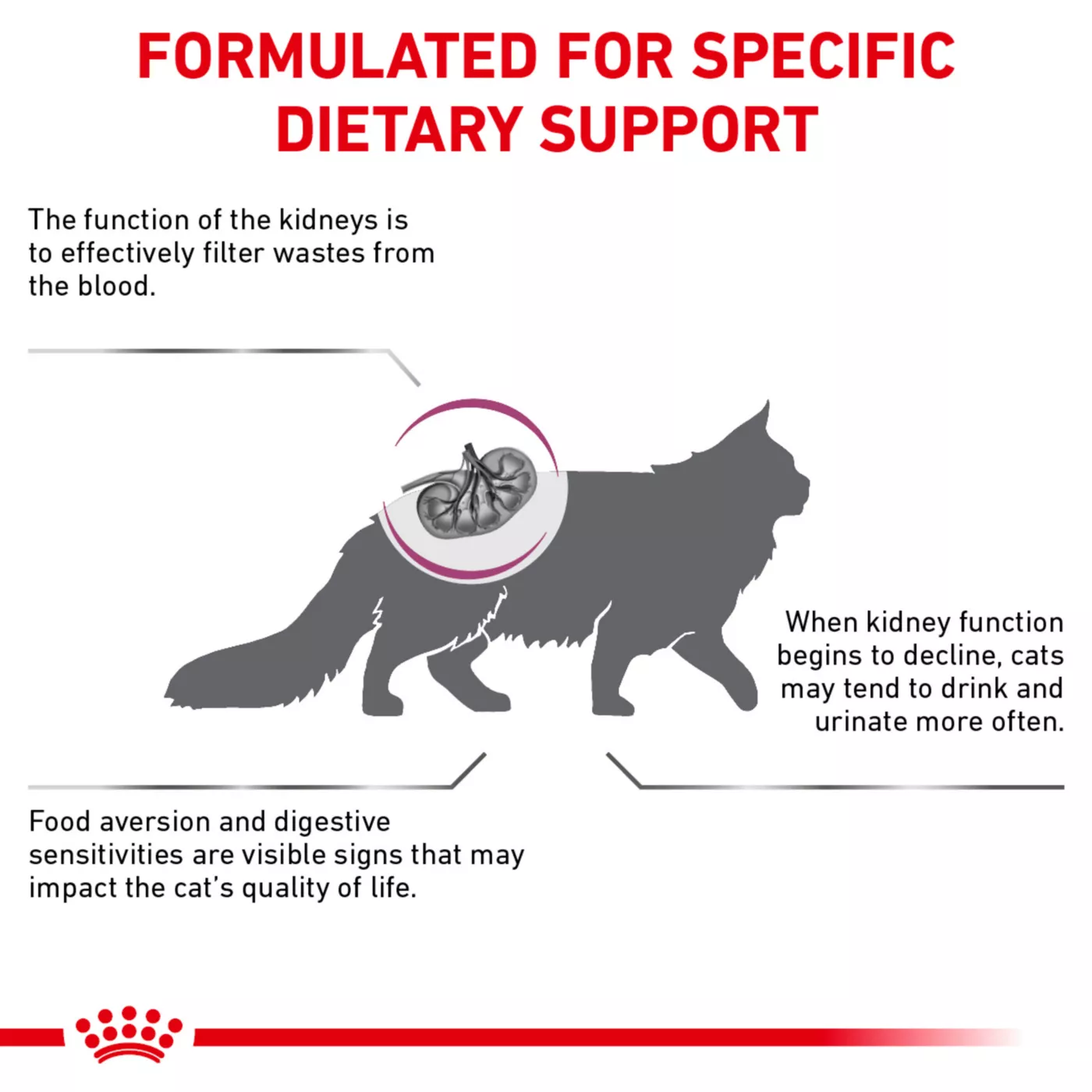 Feline renal support best sale