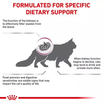 Product Royal Canin® Veterinary Diet Feline Renal Support S Adult Dry Cat Food