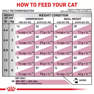 Product Royal Canin® Veterinary Diet Feline Renal Support S Adult Dry Cat Food