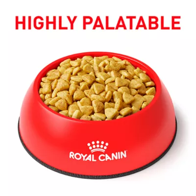 Product Royal Canin Veterinary Diet Multifunction Adult Dry Cat Food - Renal Support + Hydrolyzed Protein