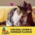 Temptations Mix-Ups Adult Cat Treats - Chicken, Cheddar & Catnip Flavour image thumbnail 3