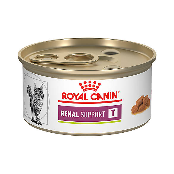 Royal Canin® Veterinary Diet Renal Support T Cat Food cat Veterinary