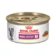 Product Royal Canin® Veterinary Diet Feline Renal Support T Adult Cat Wet Food in Gravy  3 oz can