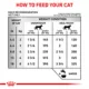 Product Royal Canin® Veterinary Diet Feline Renal Support T Adult Cat Wet Food in Gravy  3 oz can