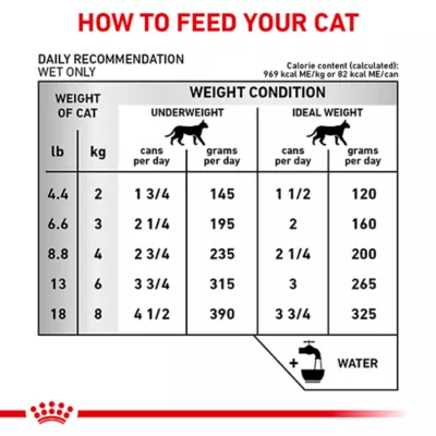 Product Royal Canin® Veterinary Diet Feline Renal Support T Adult Cat Wet Food in Gravy  3 oz can