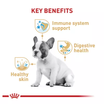 Product Royal Canin® Breed Health Nutrition® French Bulldog Breed Specific Puppy Dog Dry Food