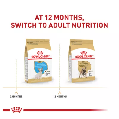 Product Royal Canin® Breed Health Nutrition® French Bulldog Breed Specific Puppy Dog Dry Food