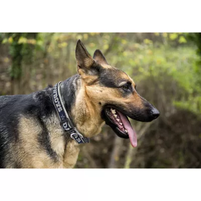 Product Dallas Cowboys NFL Dog Collar