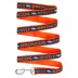 Denver Broncos NFL Dog Leash image thumbnail 1