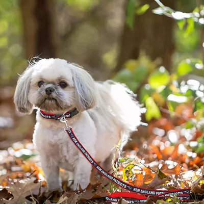 Product Pets First New England Patriots NFL Dog Leash