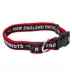 New England Patriots NFL Collar image thumbnail 1