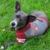 Alabama Crimson Tide NCAA Hoodie T-Shirt image thumbnail 2