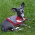 Alabama Crimson Tide NCAA Hoodie T-Shirt image thumbnail 3