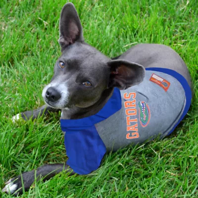 Florida Gators NCAA Hoodie T-Shirt - Image 2