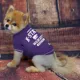Product Kansas State Wildcats NCAA T-Shirt