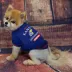 Kansas Jayhwaks NCAA T-Shirt image thumbnail 2