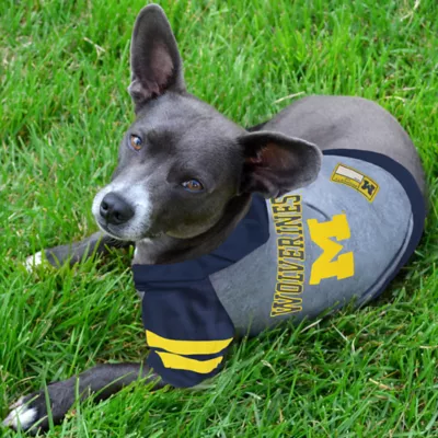 Michigan Wolverines NCAA Hoodie T-Shirt - Image 2