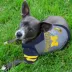 Michigan Wolverines NCAA Hoodie T-Shirt image thumbnail 2