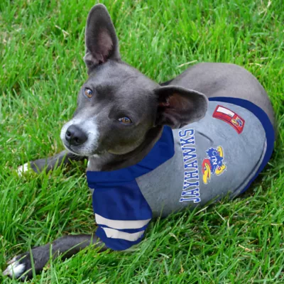 Kansas Jayhawks NCAA Hoodie T-Shirt - Image 2