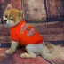Syracuse Orange NCAA T-Shirt image thumbnail 2