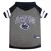 Penn State Nittany Lions NCAA Hoodie T-Shirt image thumbnail 1