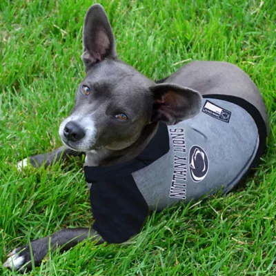 Penn State Nittany Lions NCAA Hoodie T-Shirt - Image 2