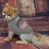 Ohio State Buckeyes NCAA T-Shirt image thumbnail 2