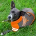 Tennessee Volunteers NCAA Hoodie T-Shirt image thumbnail 2