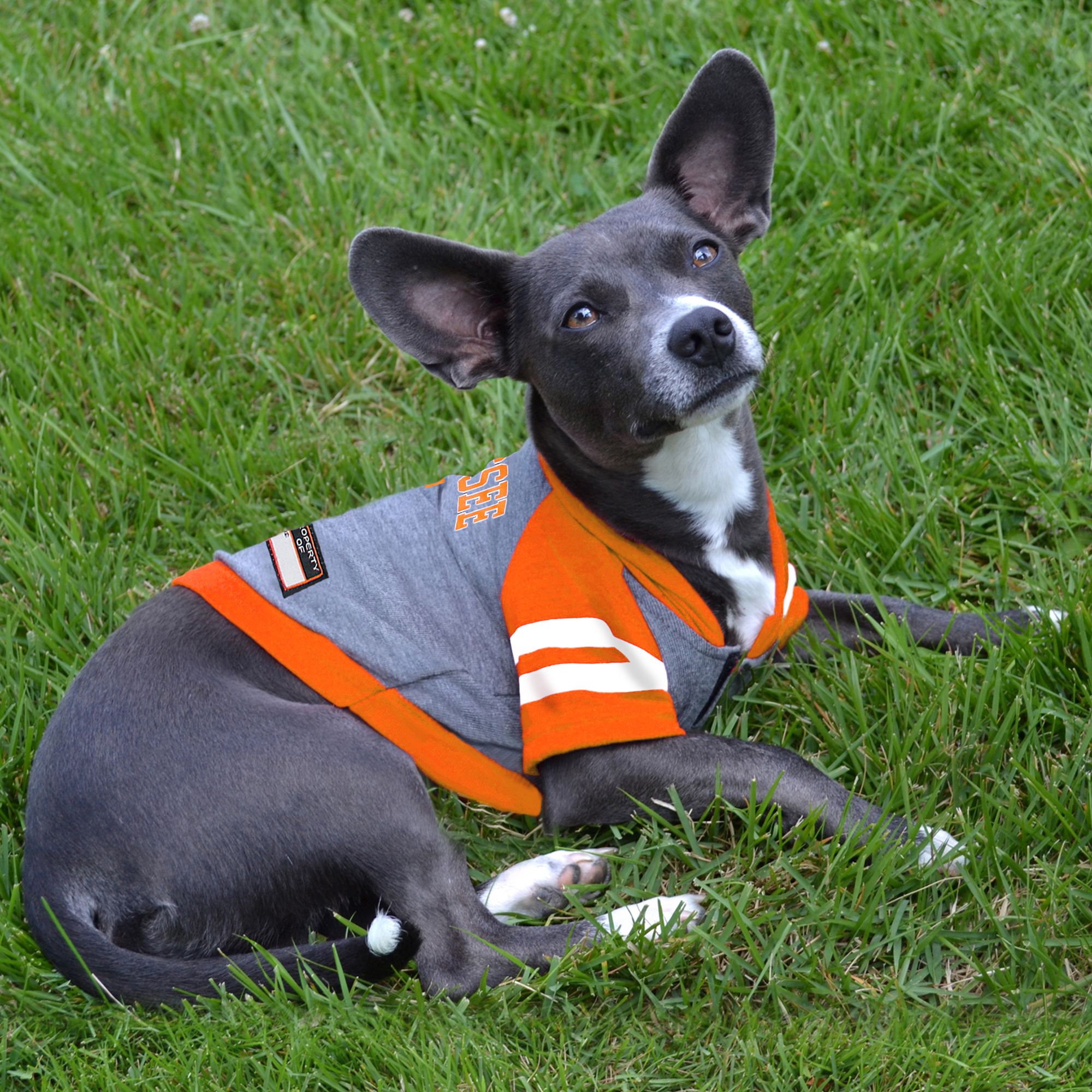 Pets First Tennessee Volunteers NCAA Hoodie T Shirt PetSmart in Tustin CA