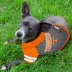 Tennessee Volunteers NCAA Hoodie T-Shirt image thumbnail 2