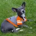 Tennessee Volunteers NCAA Hoodie T-Shirt image thumbnail 3