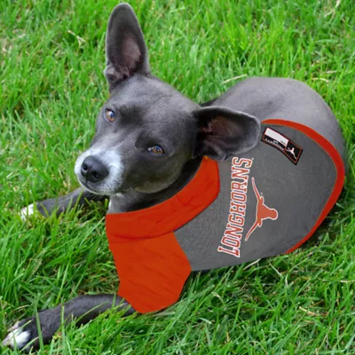 Texas Longhorns NCAA Hoodie T-Shirt - Image 2