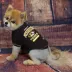 Missouri Tigers NCAA T-Shirt image thumbnail 2