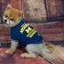 Michigan Wolverines NCAA T-Shirt image thumbnail 2