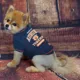 Product Auburn Tigers NCAA T-Shirt