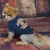 Auburn Tigers NCAA T-Shirt image thumbnail 2