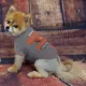 Product Oregon State Beavers NCAA T-Shirt